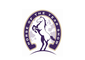 Hoys of the year Show